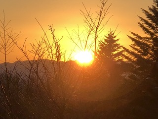 17D661BE-928B-414C-AD8D-0C5191AB1B37.jpeg