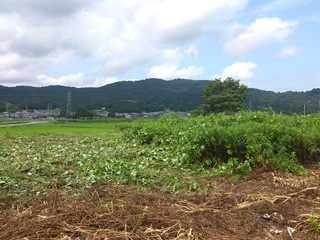 DSC_0013.jpg