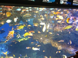 京都水族館.jpg